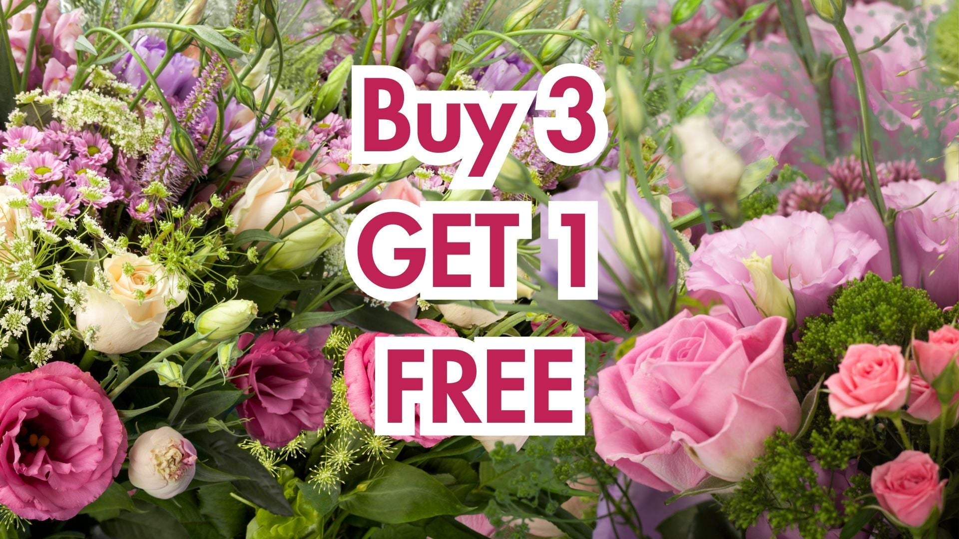 🌟 Buy 3, Get 1 FREE – AnnAga Luxury Skincare’s Exclusive Sale! 🌟