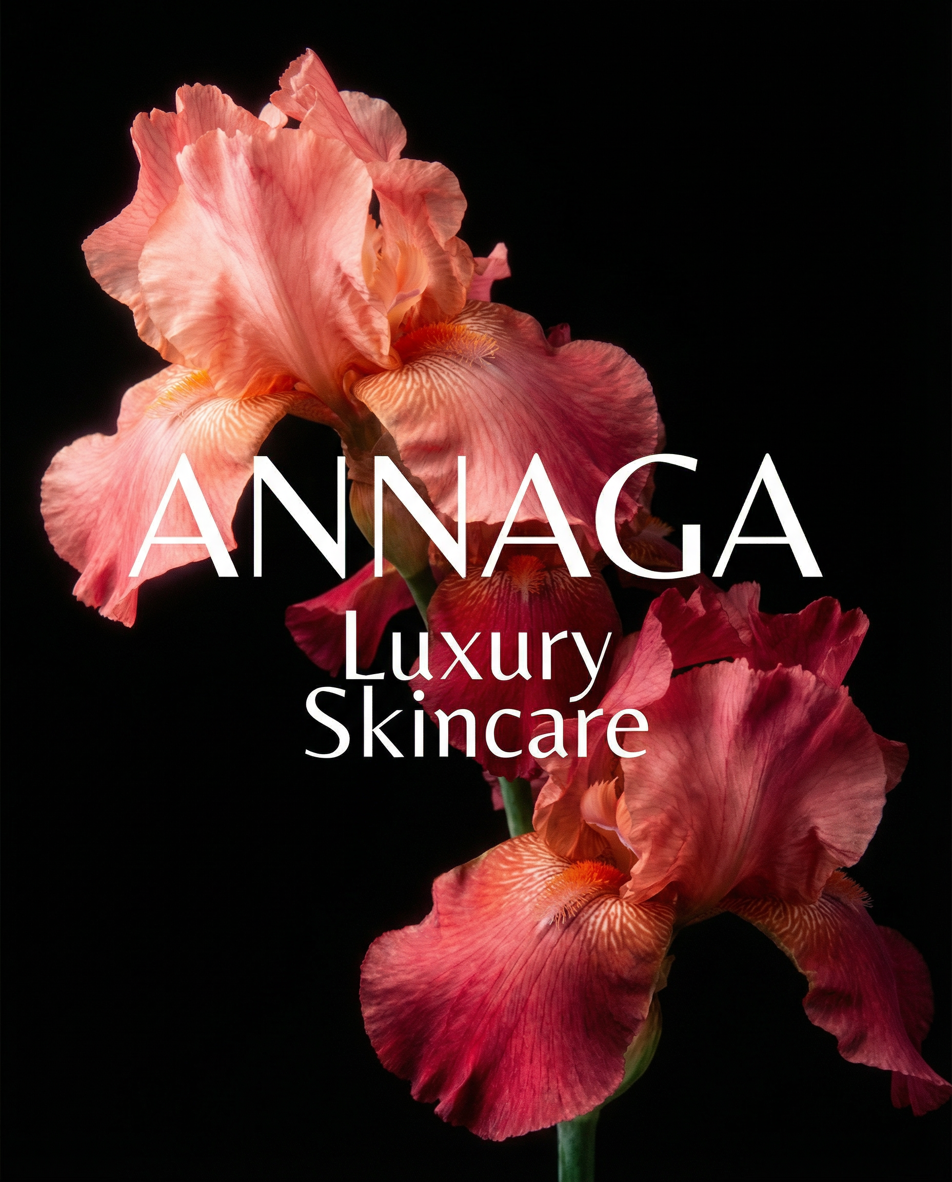 A Note of Transparency as We Step Into the New Year