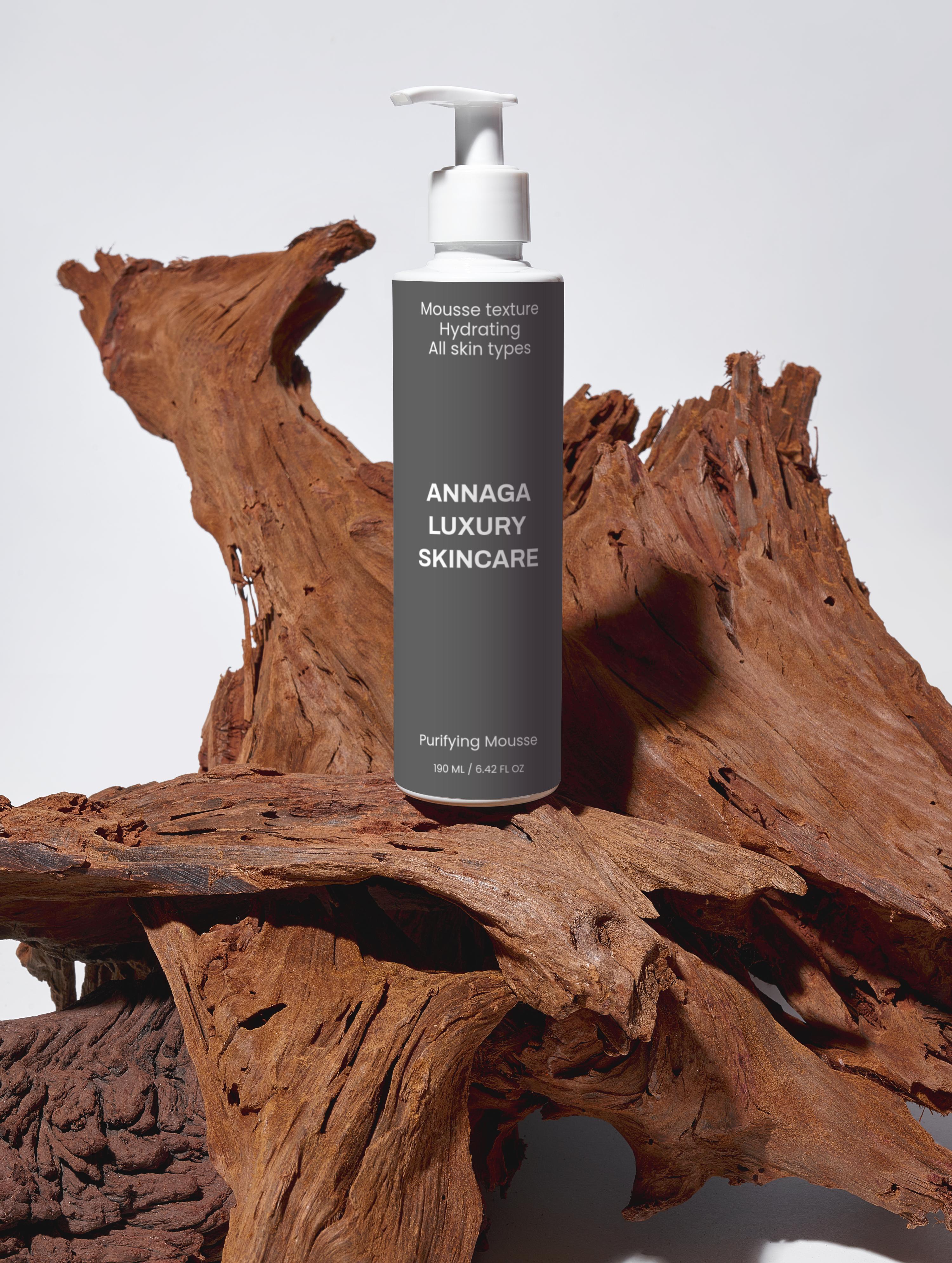 AnnAga Luxury Skincare Core Collection: Purifying Mousse