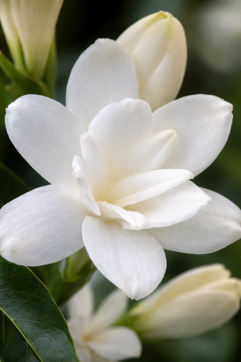 Keratin Intensive Rescue Hair Mask